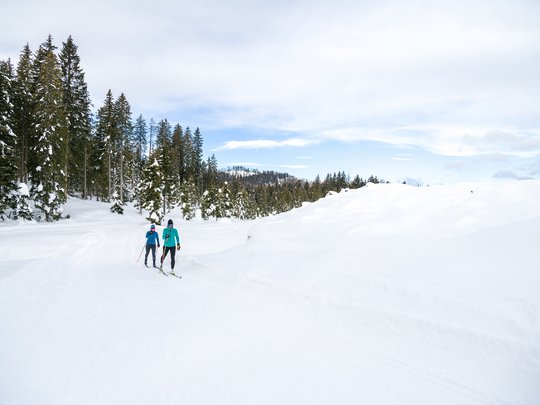 Skifahren in Kärnten: einmalig schön Skifahren in Kärnten: einmalig schön