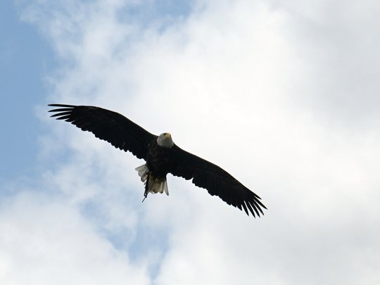 Rund ums Thermenresort in Warmbad-Villach Rund ums Thermenresort in Warmbad-Villach